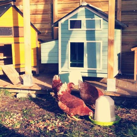 Gite Moulin De Lausseignan Barbaste Kültér fotó