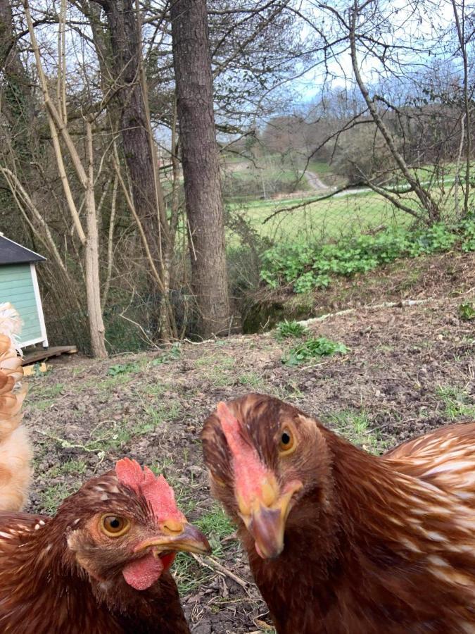 Gite Moulin De Lausseignan Barbaste Kültér fotó
